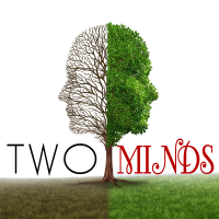 Two Minds - Instrumental cover